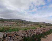 Venta - Land - Yecla