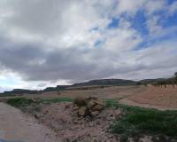 Venta - Land - Yecla