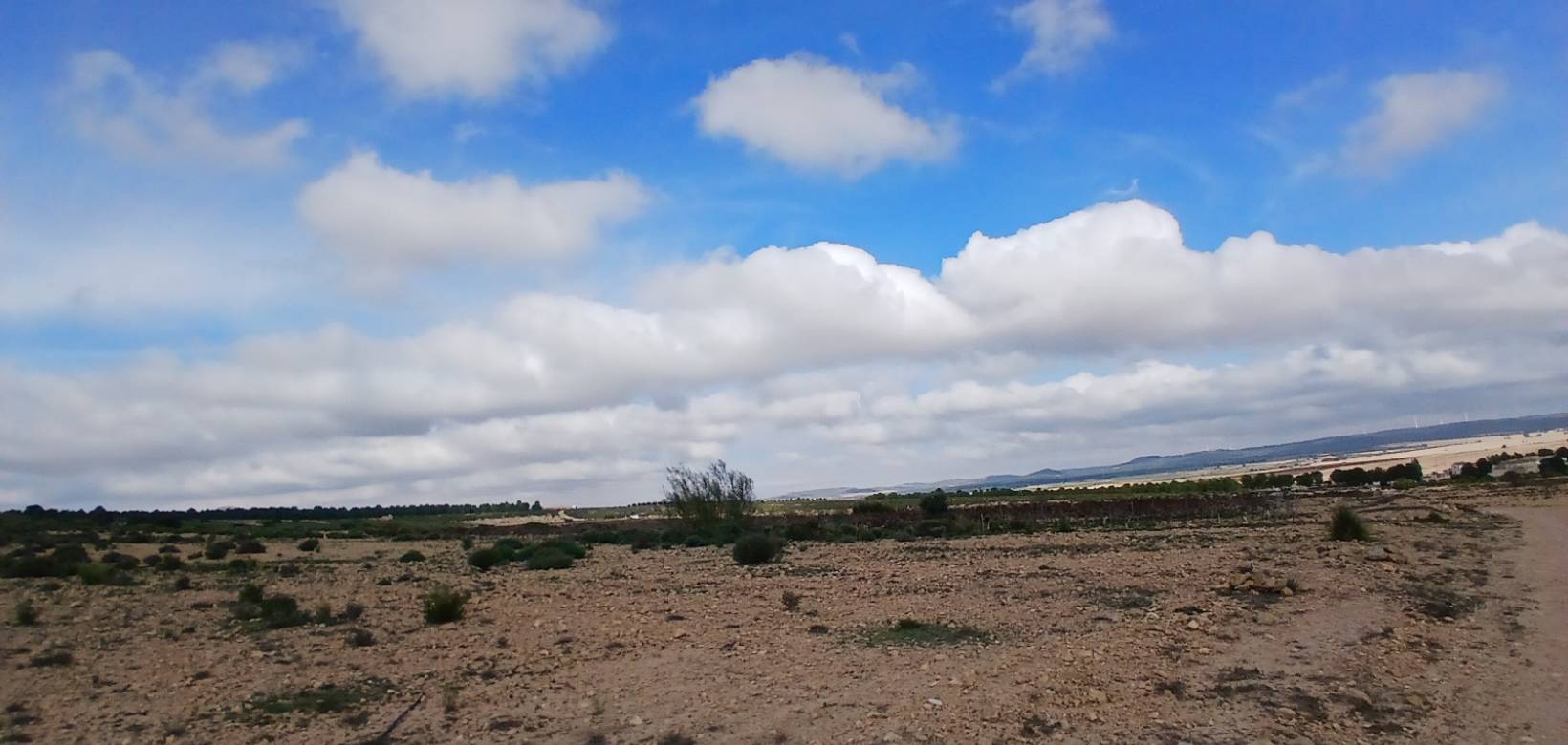 Venta - Land - Yecla