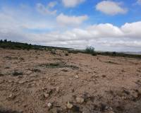 Venta - Land - Yecla