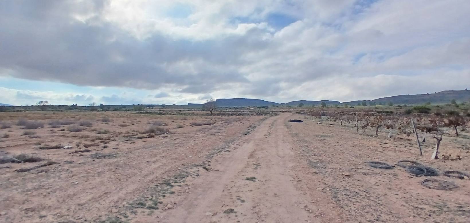 Venta - Land - Yecla