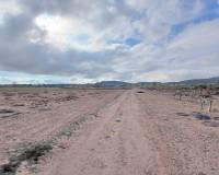 Venta - Land - Yecla