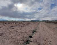 Venta - Land - Yecla