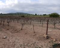 Venta - Land - Yecla