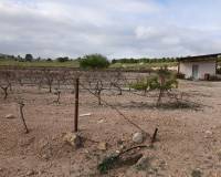 Venta - Land - Yecla