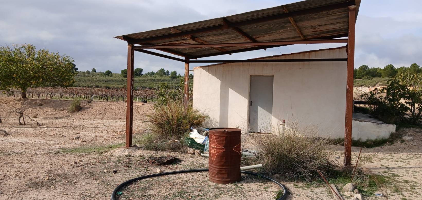 Venta - Land - Yecla