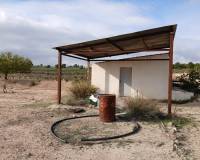 Venta - Land - Yecla