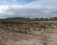 Venta - Land - Yecla
