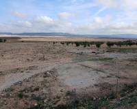 Venta - Land - Yecla