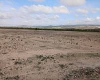 Venta - Land - Yecla