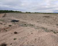 Venta - Land - Yecla