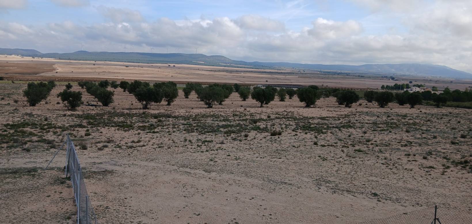 Venta - Land - Yecla