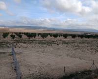 Venta - Land - Yecla