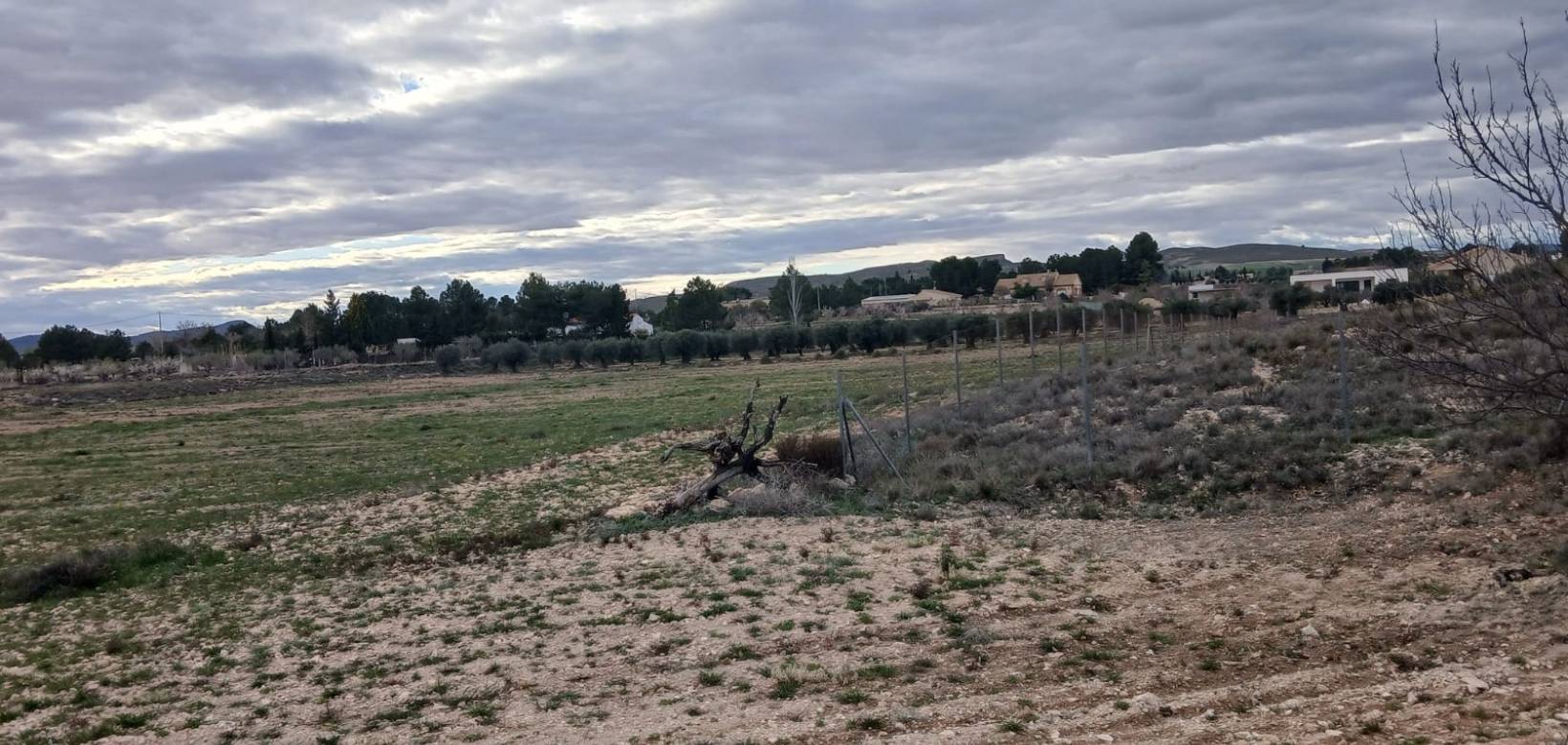 Venta - Land - Yecla