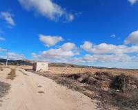 Venta - Land - Yecla