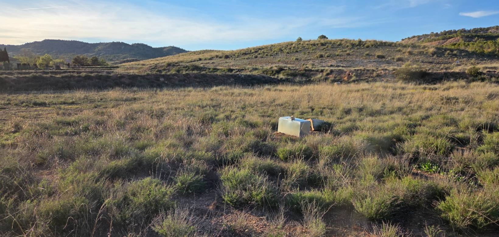 Venta - Land - Yecla