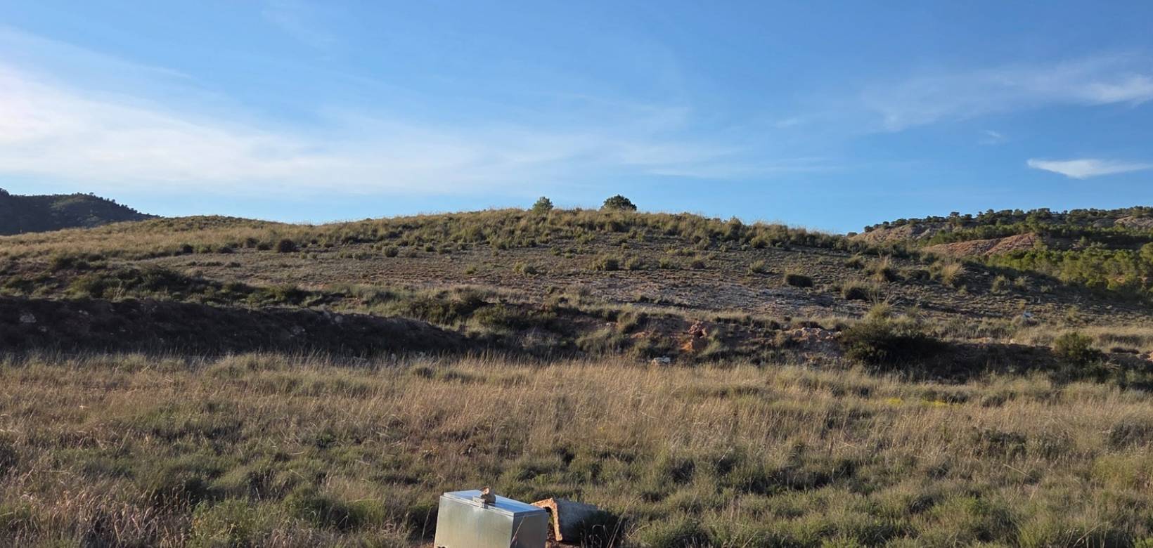 Venta - Land - Yecla