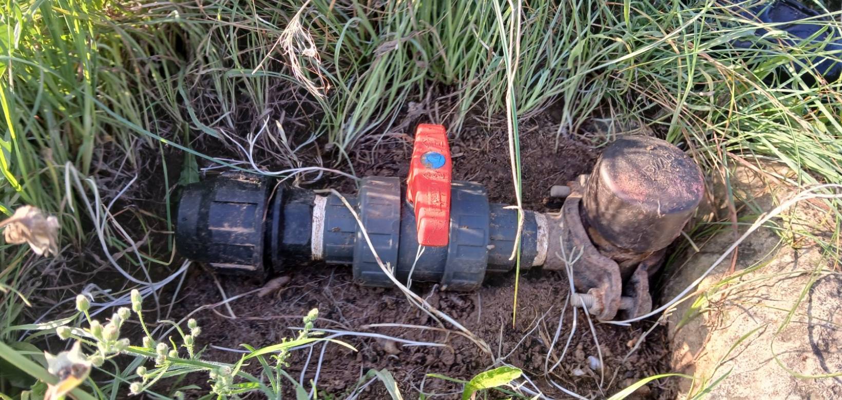 Venta - Land - Yecla