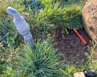 Venta - Land - Yecla