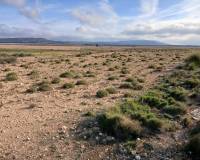 Venta - Land - Yecla