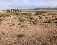 Venta - Land - Yecla