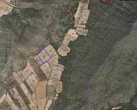 Venta - Land - Yecla