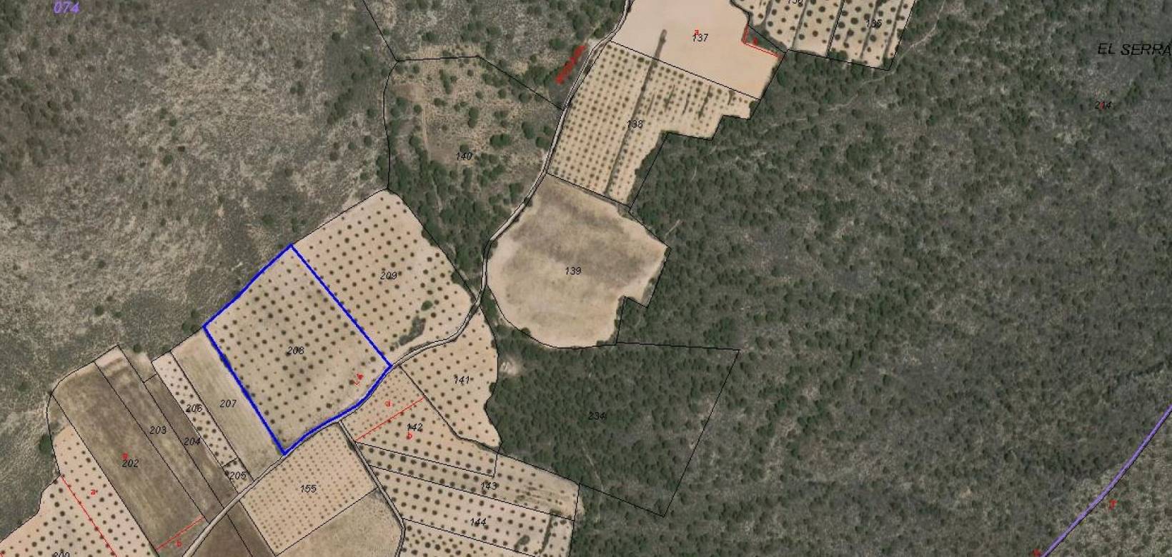 Venta - Land - Yecla