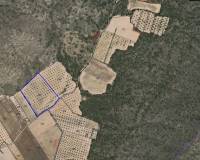 Venta - Land - Yecla