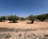 Venta - Parcela - Barbarroja