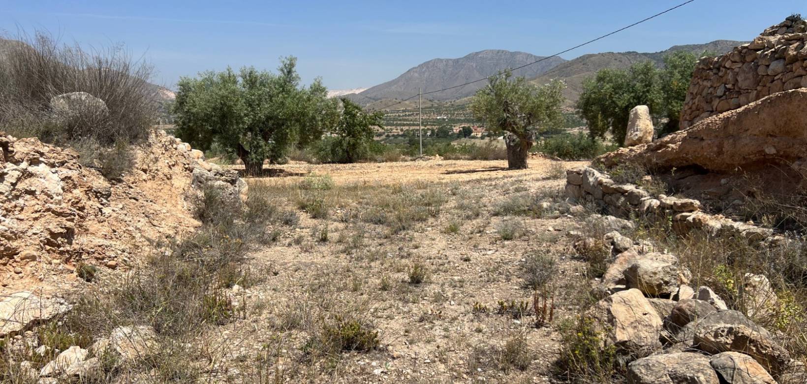 Venta - Parcela - Barbarroja