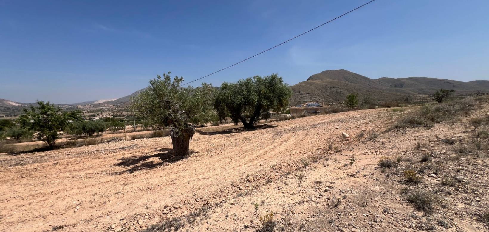 Venta - Parcela - Barbarroja