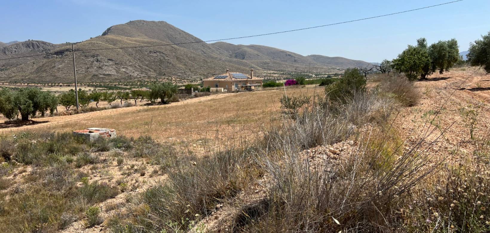 Venta - Parcela - Barbarroja