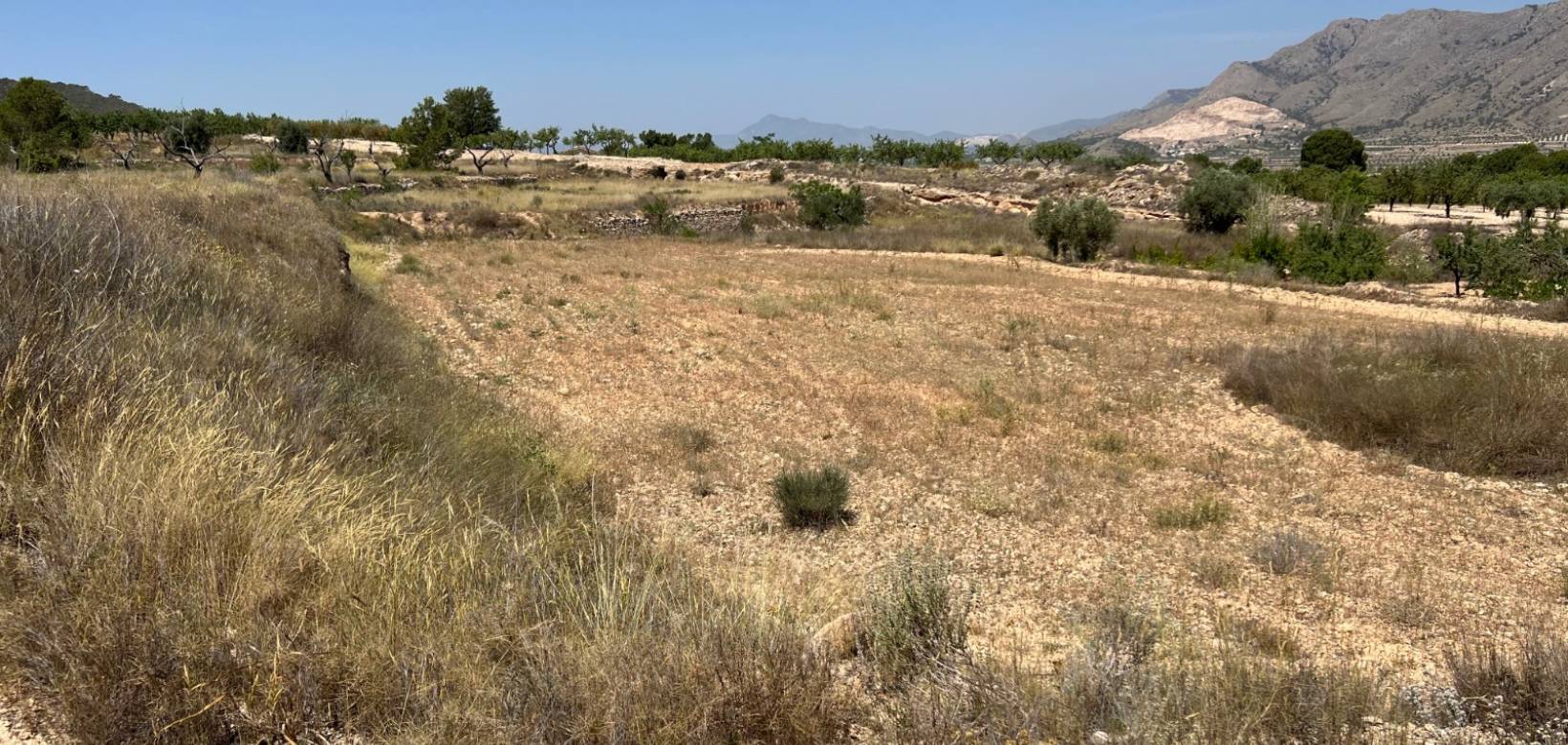 Venta - Parcela - Barbarroja