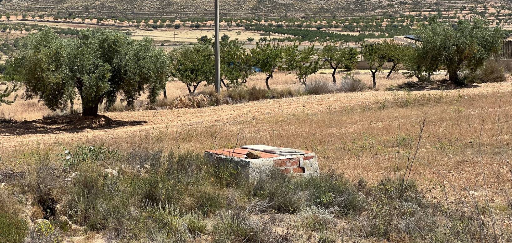 Venta - Parcela - Barbarroja