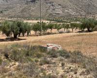 Venta - Parcela - Barbarroja