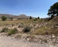 Venta - Parcela - Barbarroja