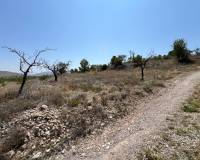 Venta - Parcela - Barbarroja