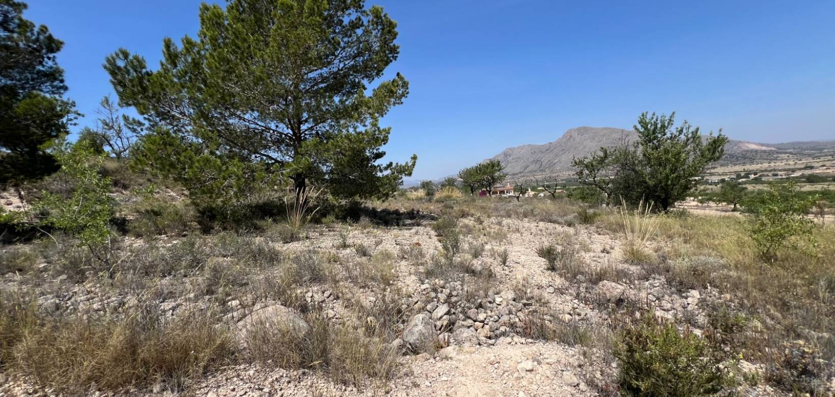 Venta - Parcela - Barbarroja