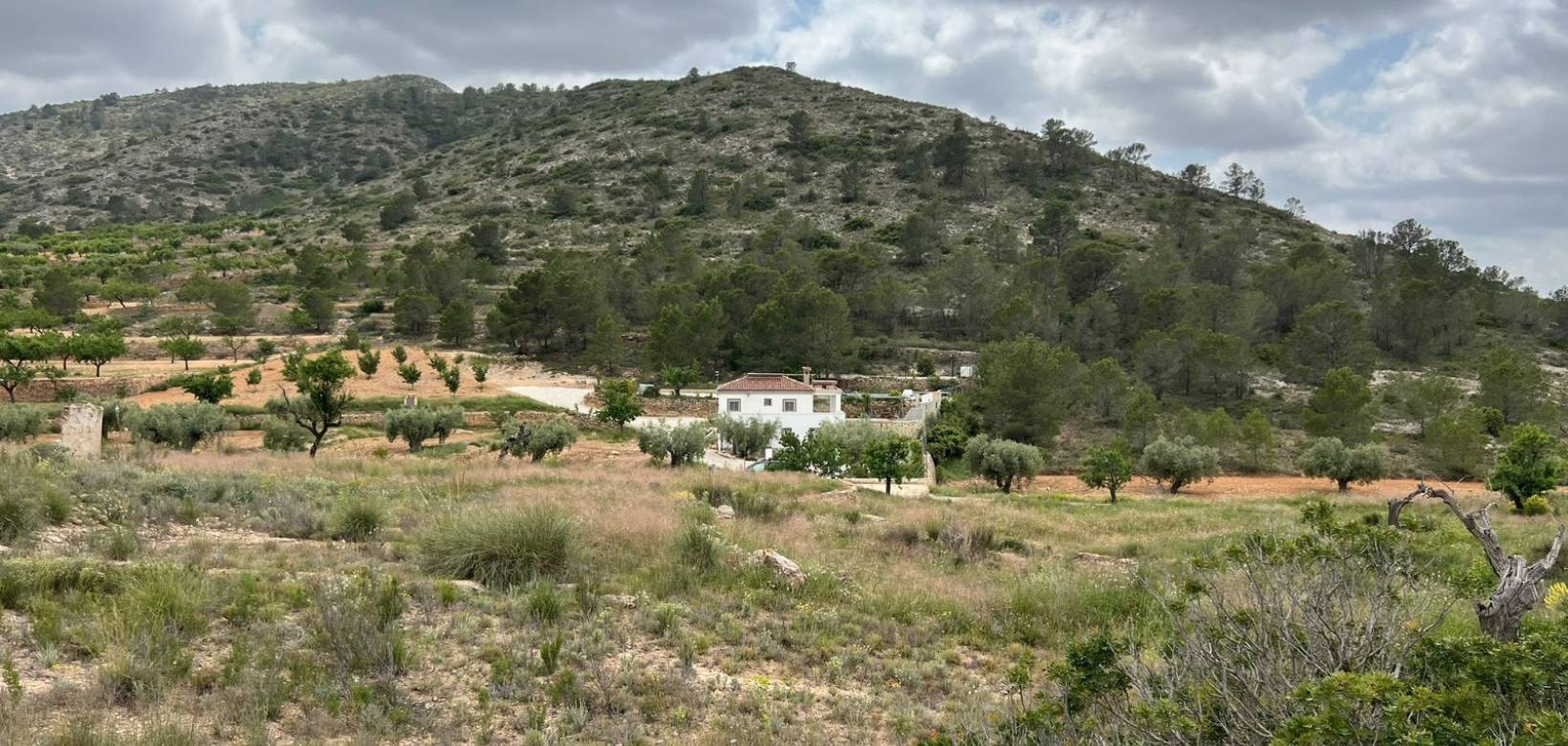 Venta - Parcela - Hondón de las Nieves