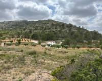 Venta - Parcela - Hondón de las Nieves