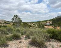 Venta - Parcela - Hondón de las Nieves