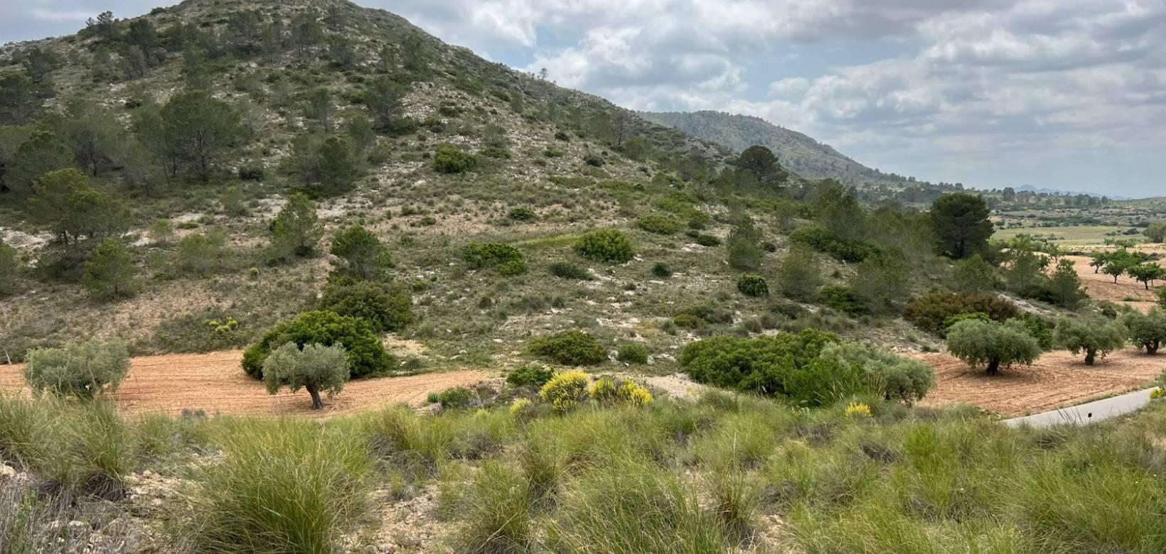 Venta - Parcela - Hondón de las Nieves