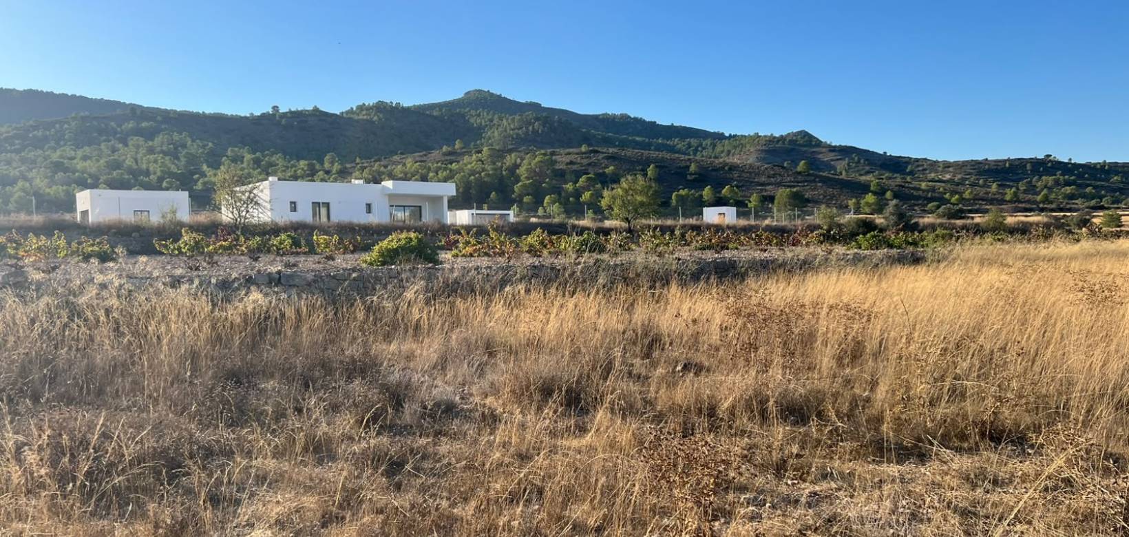 Venta - Parcela - Hondón de las Nieves