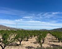 Venta - Plot / Land - Hondón de los Frailes