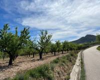 Venta - Plot / Land - Hondón de los Frailes