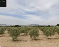 Venta - Plot / Land - Sax
