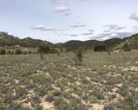 Venta -  - Salinas