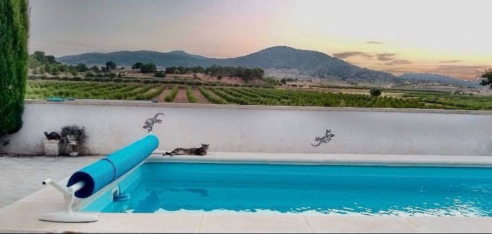 Venta - Semi-detached - Pinoso