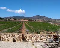 Venta - Semi-detached - Pinoso