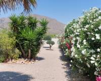Venta - Villa - Barbarroja